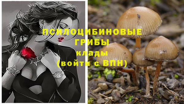 круглые Пестово