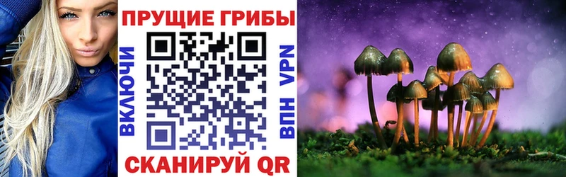 Псилоцибиновые грибы ЛСД  мега tor  Ярцево 