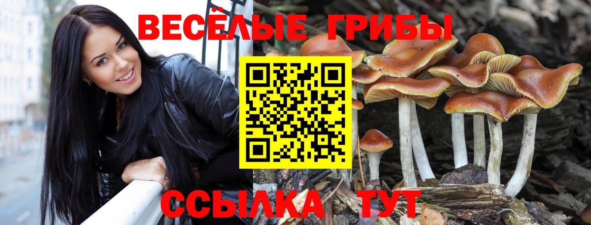 Галлюциногенные грибы мухоморы Ярцево