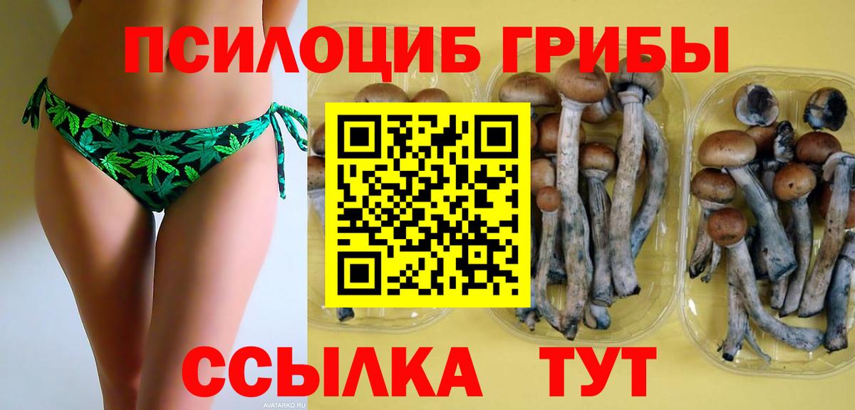 дарнет шоп  Вход с VPN  Галлюциногенные грибы ЛСД  Ярцево  Псилоцибиновые грибы прущие грибы 